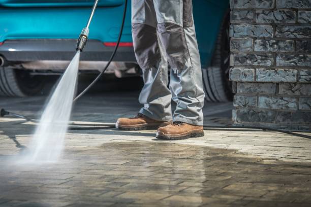 Animal Enclosure Cleaning in Fairfax, IA